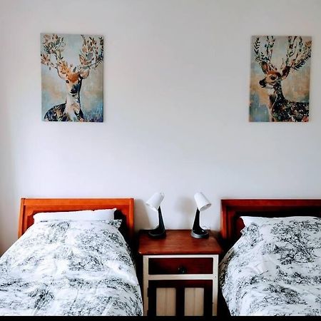 Close To The Famous Bondi Beach In Australia Сидни Екстериор снимка
